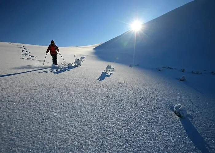 布伦纳酒店 - 雷特拉姆